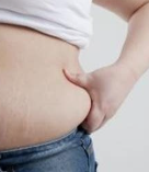 일본인 비만과 건강에 관한 분석 자료